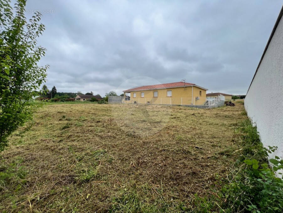 Terrain à MARSSAC-SUR-TARN