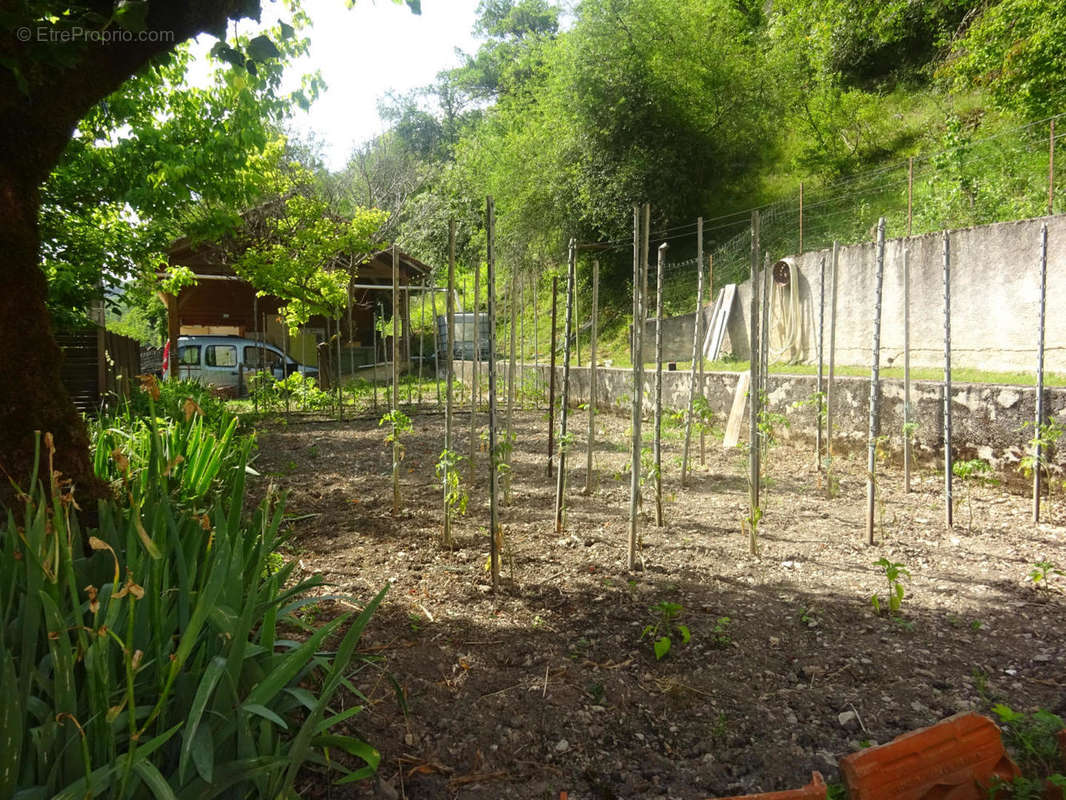 jardin - Maison à LUZECH