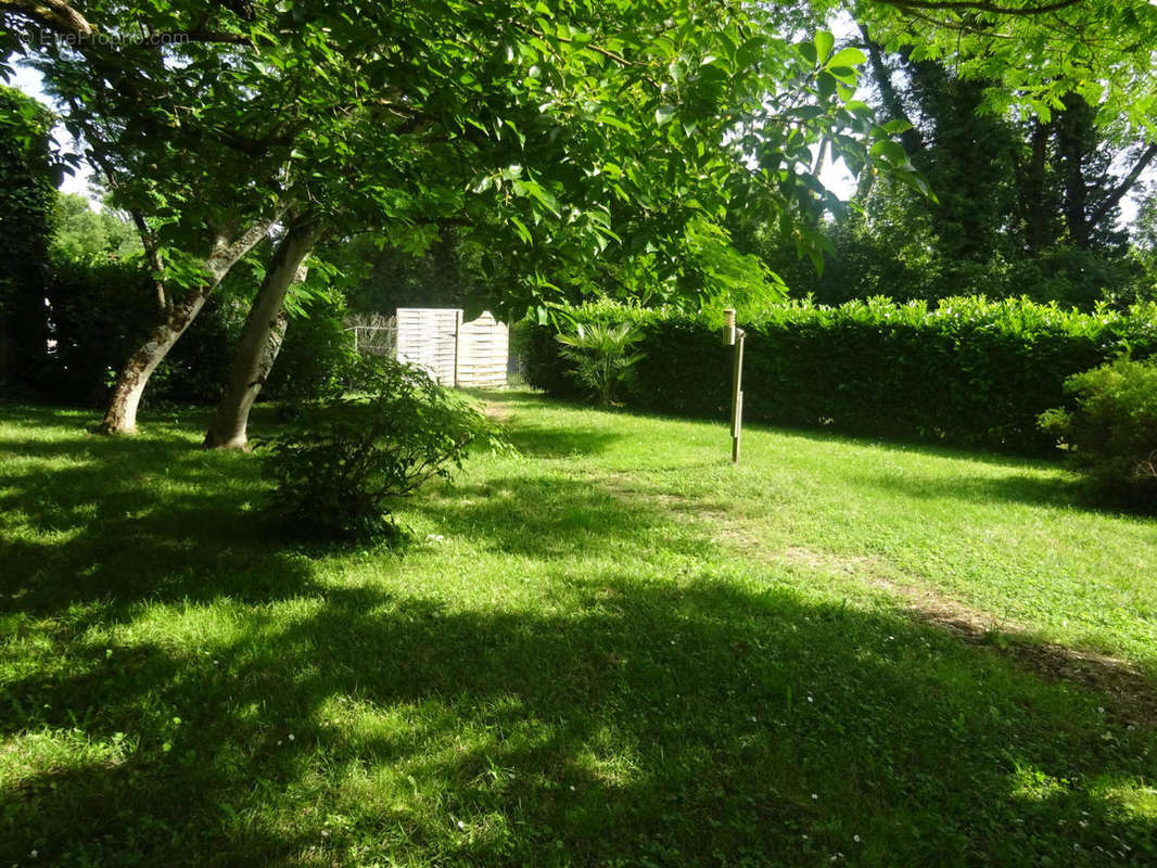 terrain - Maison à LUZECH