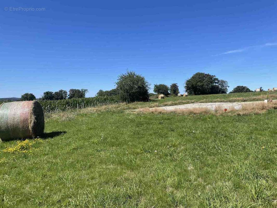 Terrain à SAINT-BONNET-BRIANCE