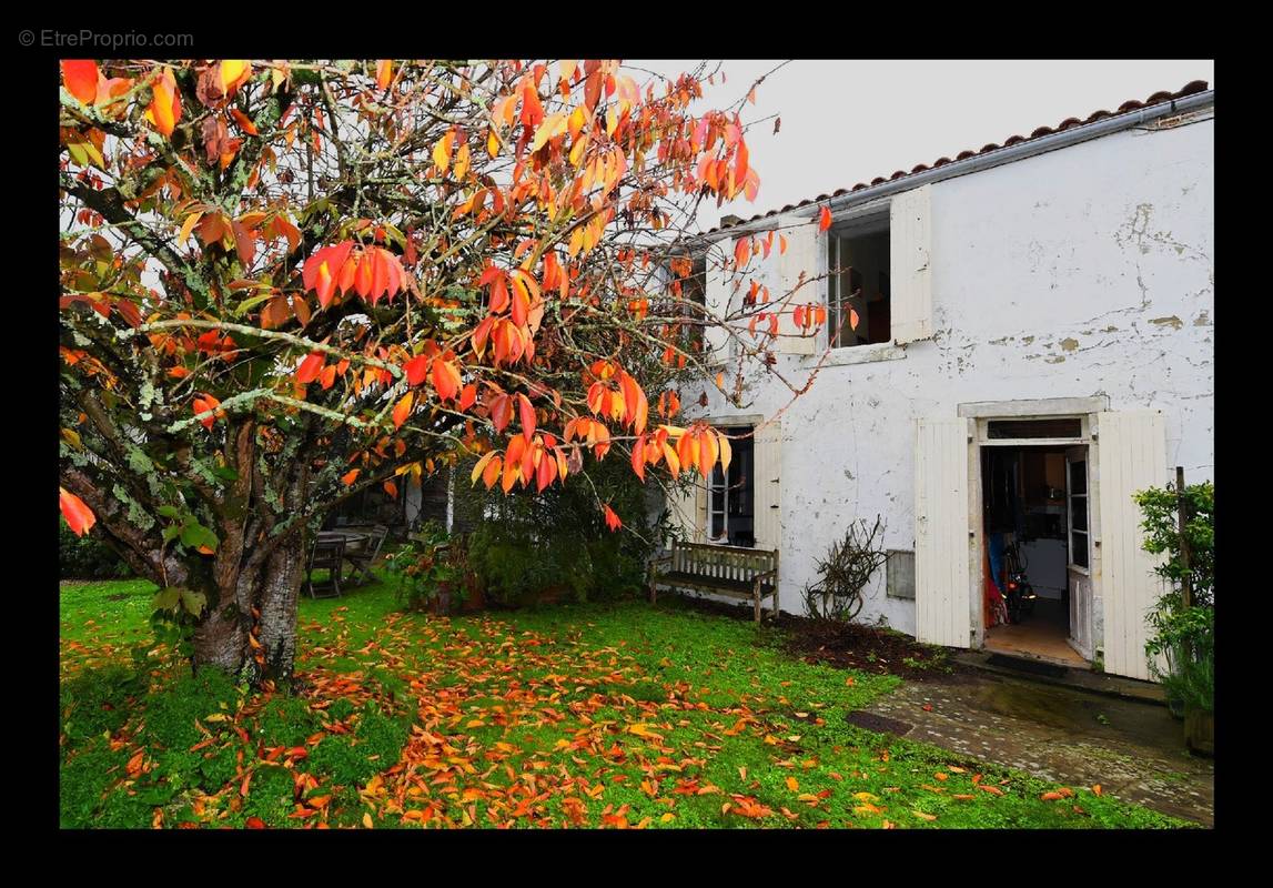 Maison à SAINT-GEORGES-D&#039;OLERON