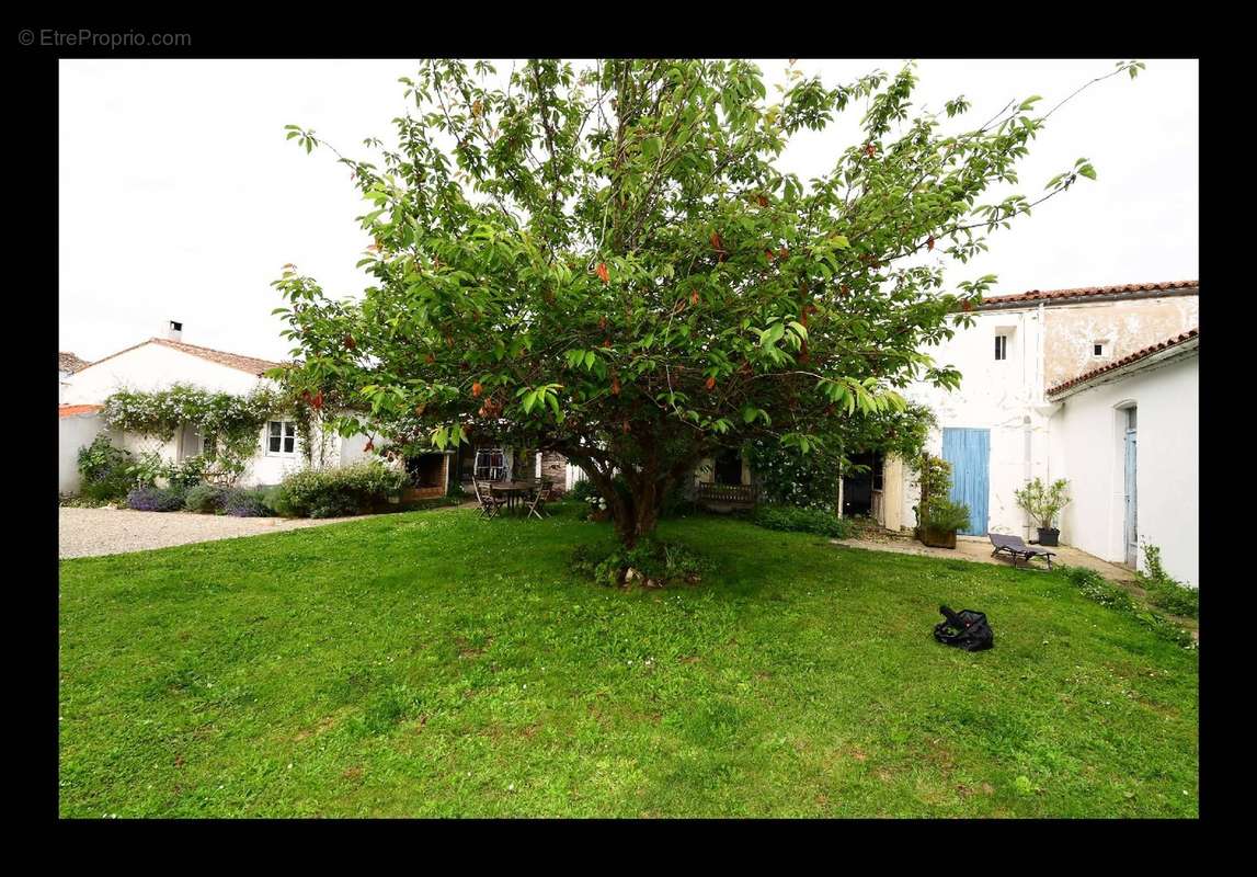 Maison à SAINT-GEORGES-D&#039;OLERON