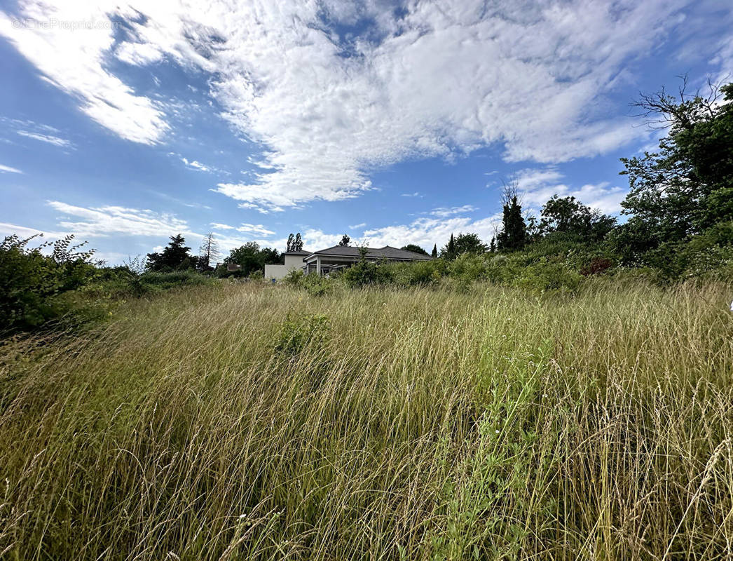 Terrain à JONS