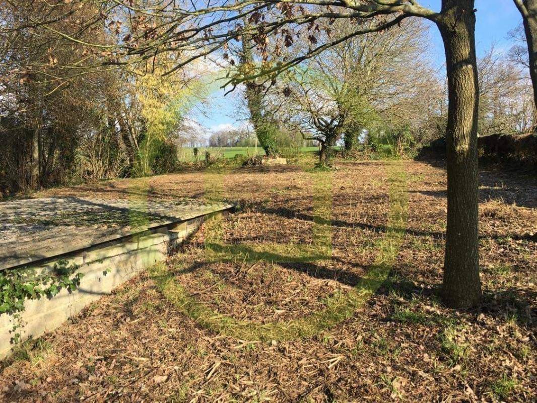 Maison à LA CHAPELLE-D&#039;ANDAINE