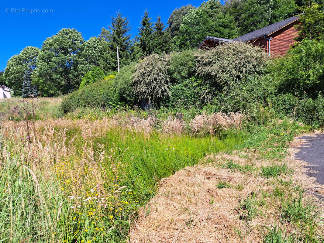 Terrain à LE CHAMBON-SUR-LIGNON