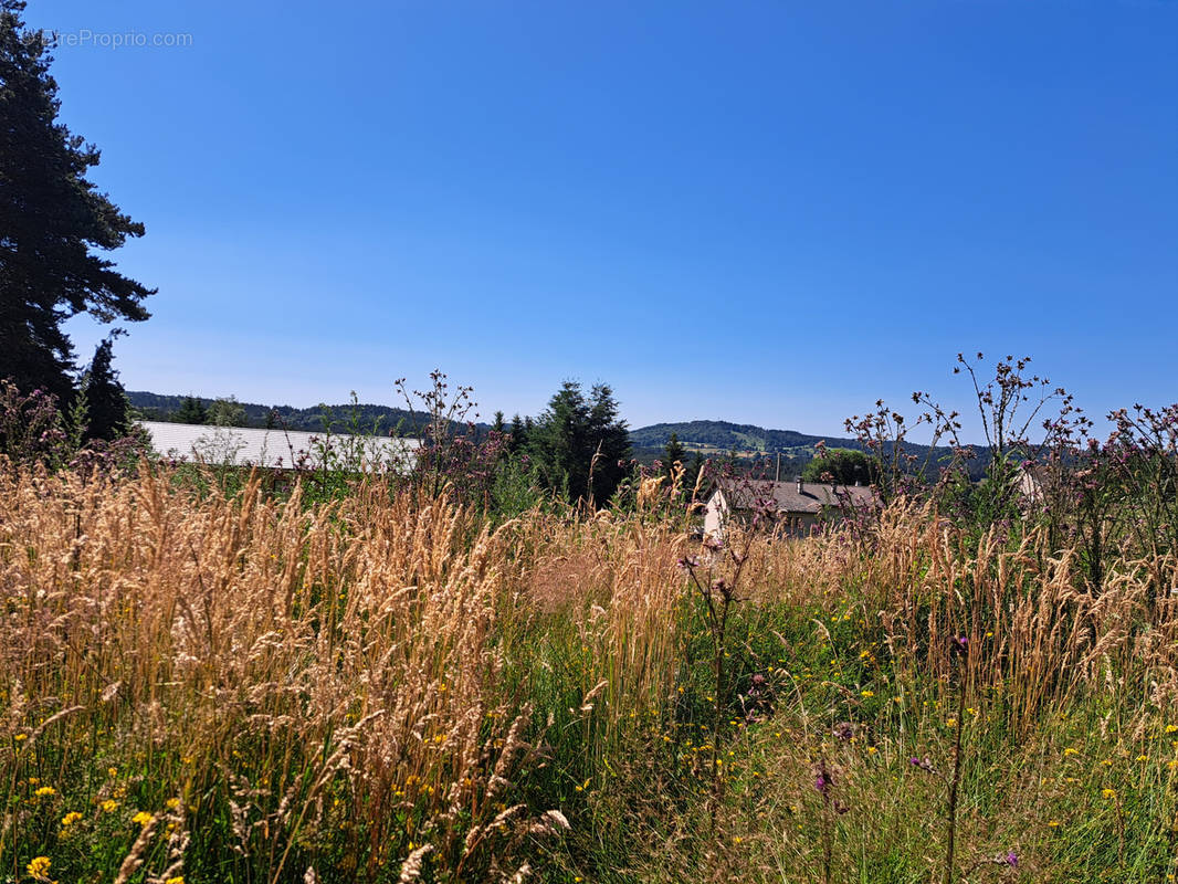 Terrain à LE CHAMBON-SUR-LIGNON