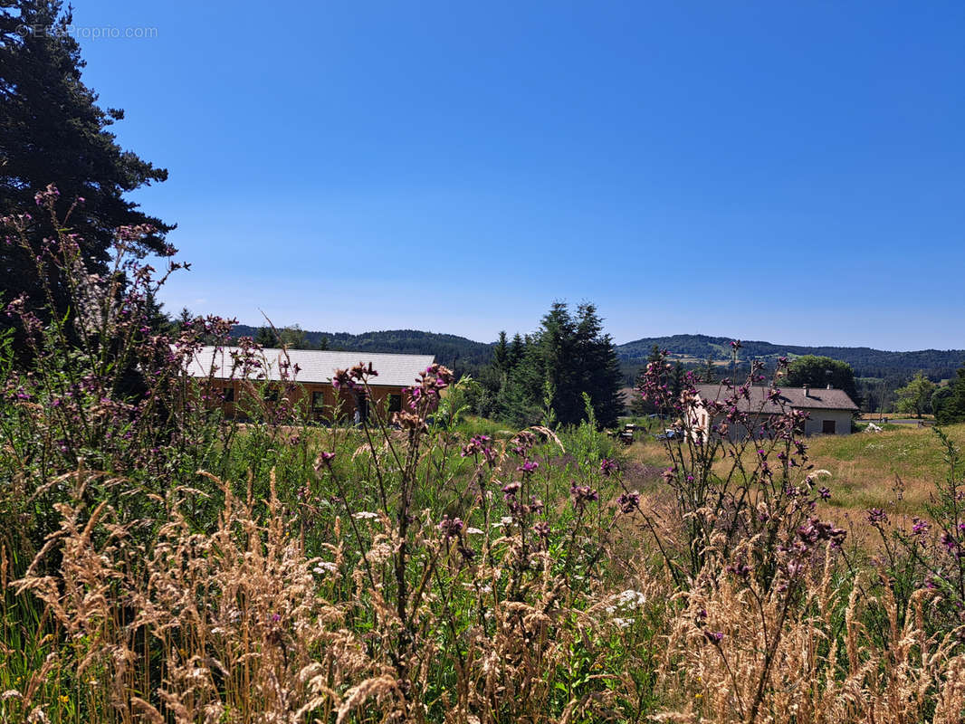 Terrain à LE CHAMBON-SUR-LIGNON