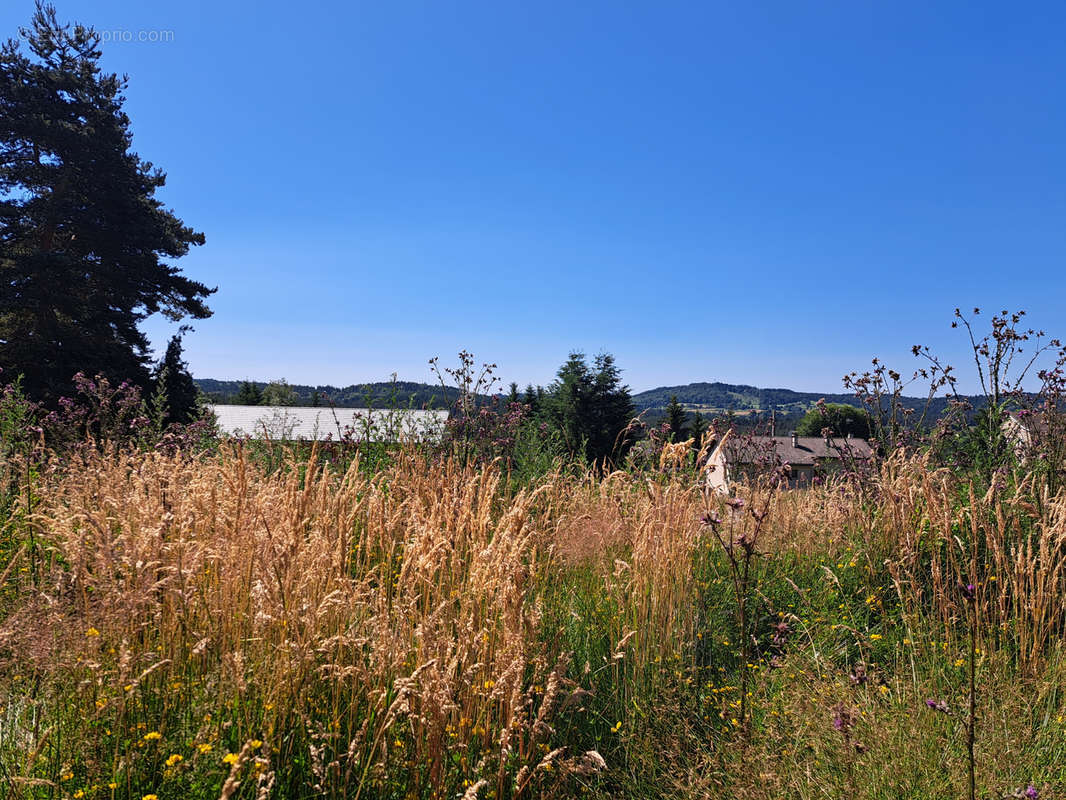 Terrain à LE CHAMBON-SUR-LIGNON