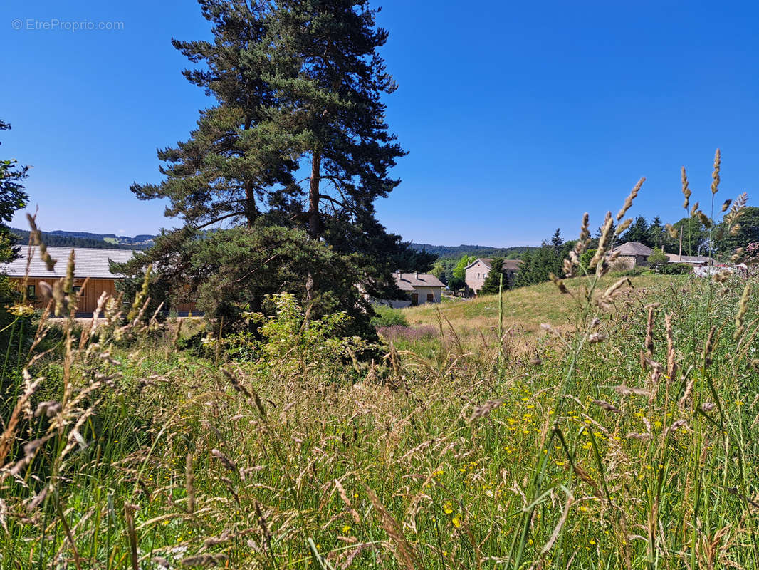 Terrain à LE CHAMBON-SUR-LIGNON