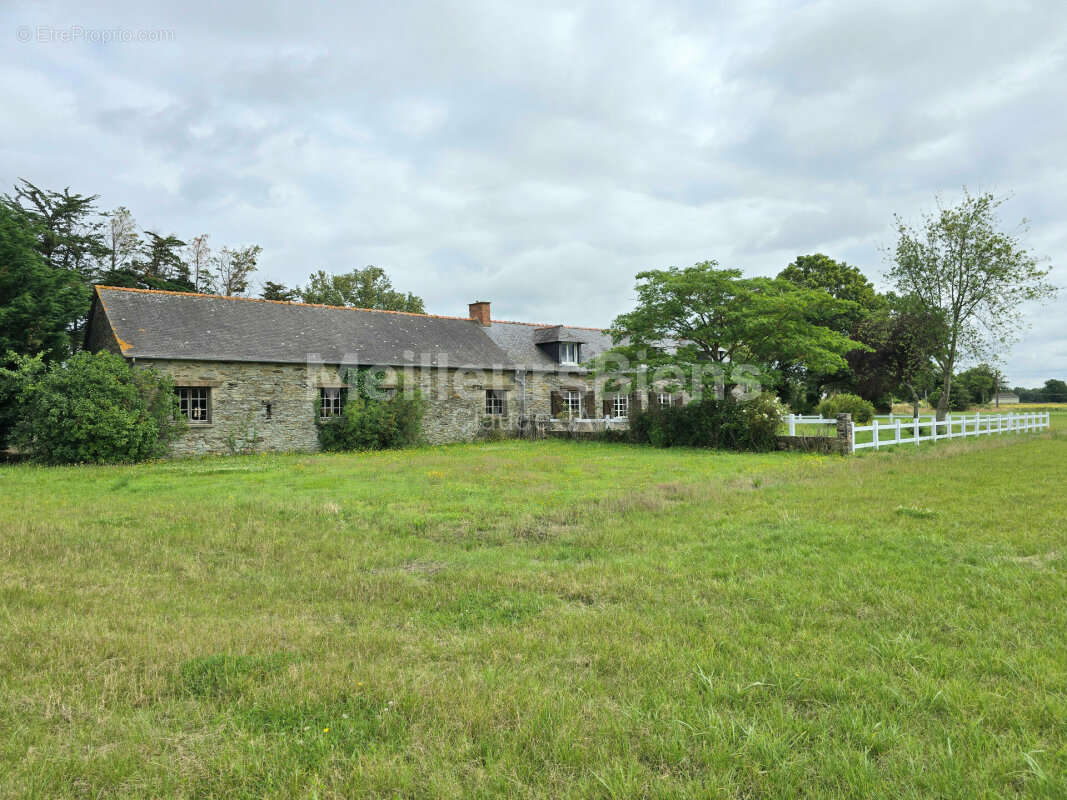 Maison à MESSAC