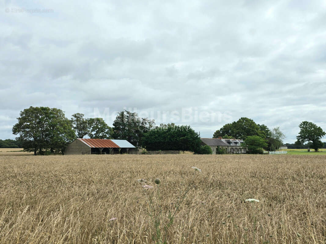 Maison à MESSAC