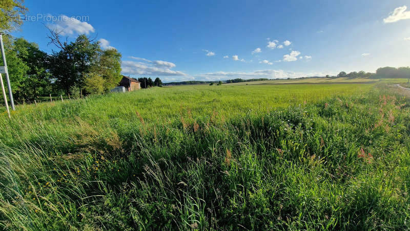 Terrain à DUFFORT