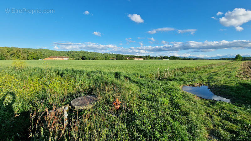 Terrain à DUFFORT