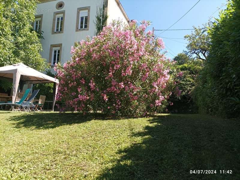 Maison à LAROQUE-D&#039;OLMES