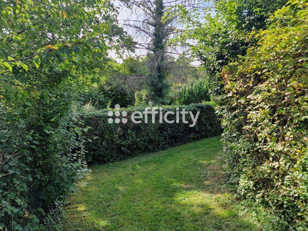 Appartement à SAINT-GERMAIN-AU-MONT-D&#039;OR