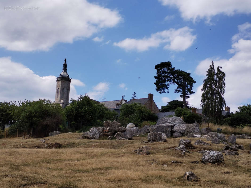 Terrain à MONTAUTOUR