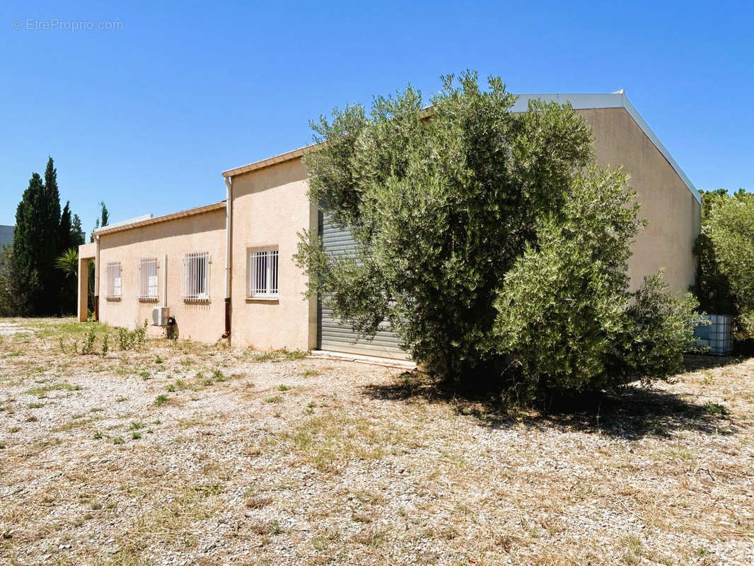 Commerce à RIVESALTES