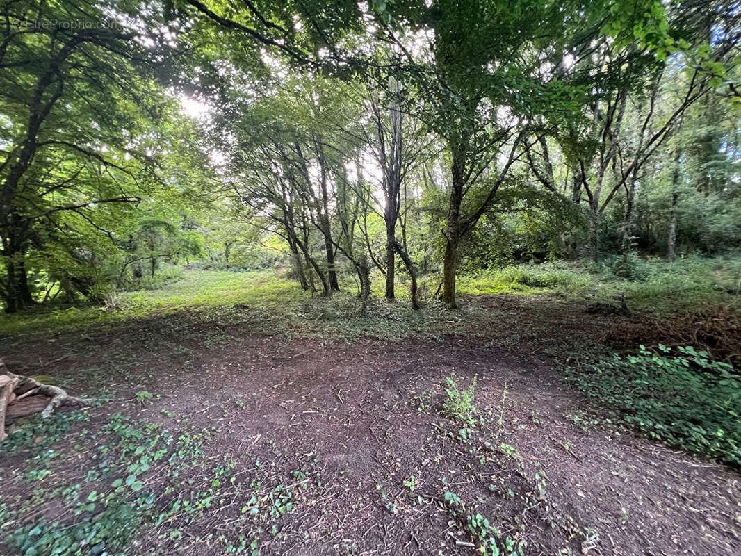 Terrain à SARLAT-LA-CANEDA