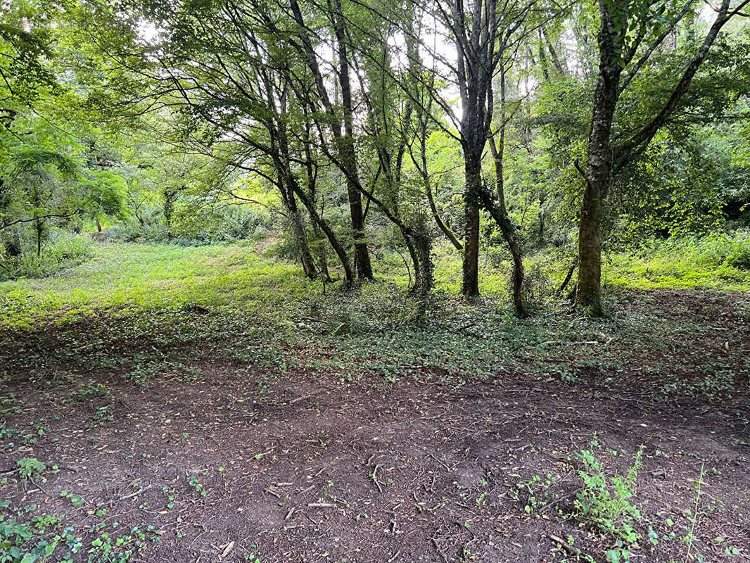 Terrain à SARLAT-LA-CANEDA