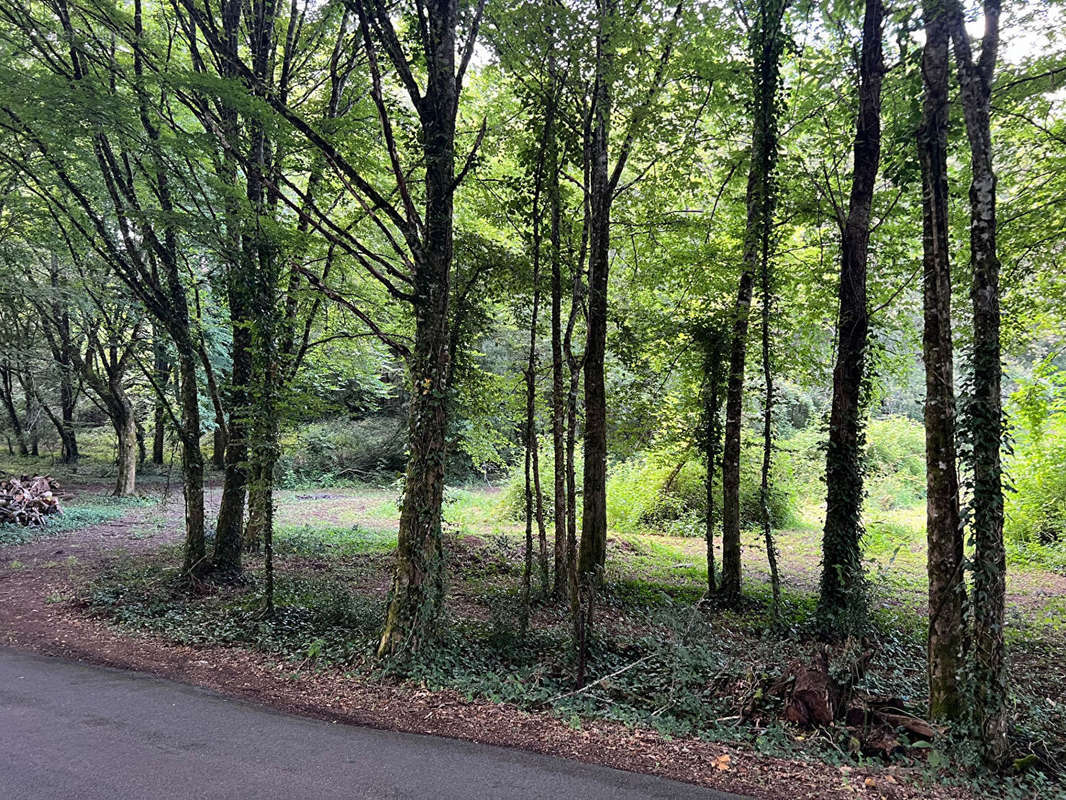 Terrain à SARLAT-LA-CANEDA