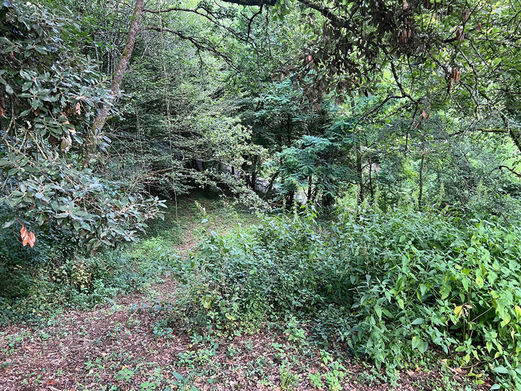 Terrain à SARLAT-LA-CANEDA