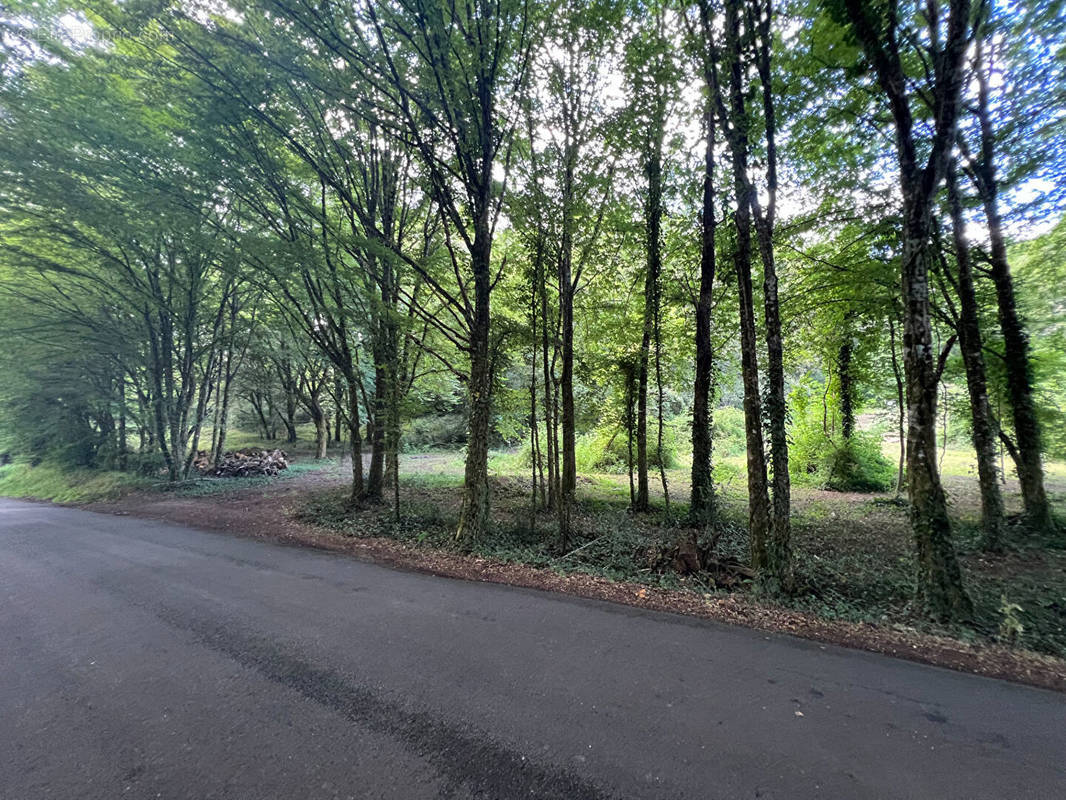 Terrain à SARLAT-LA-CANEDA