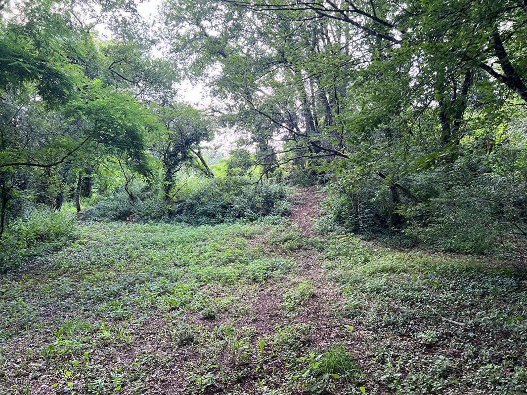 Terrain à SARLAT-LA-CANEDA