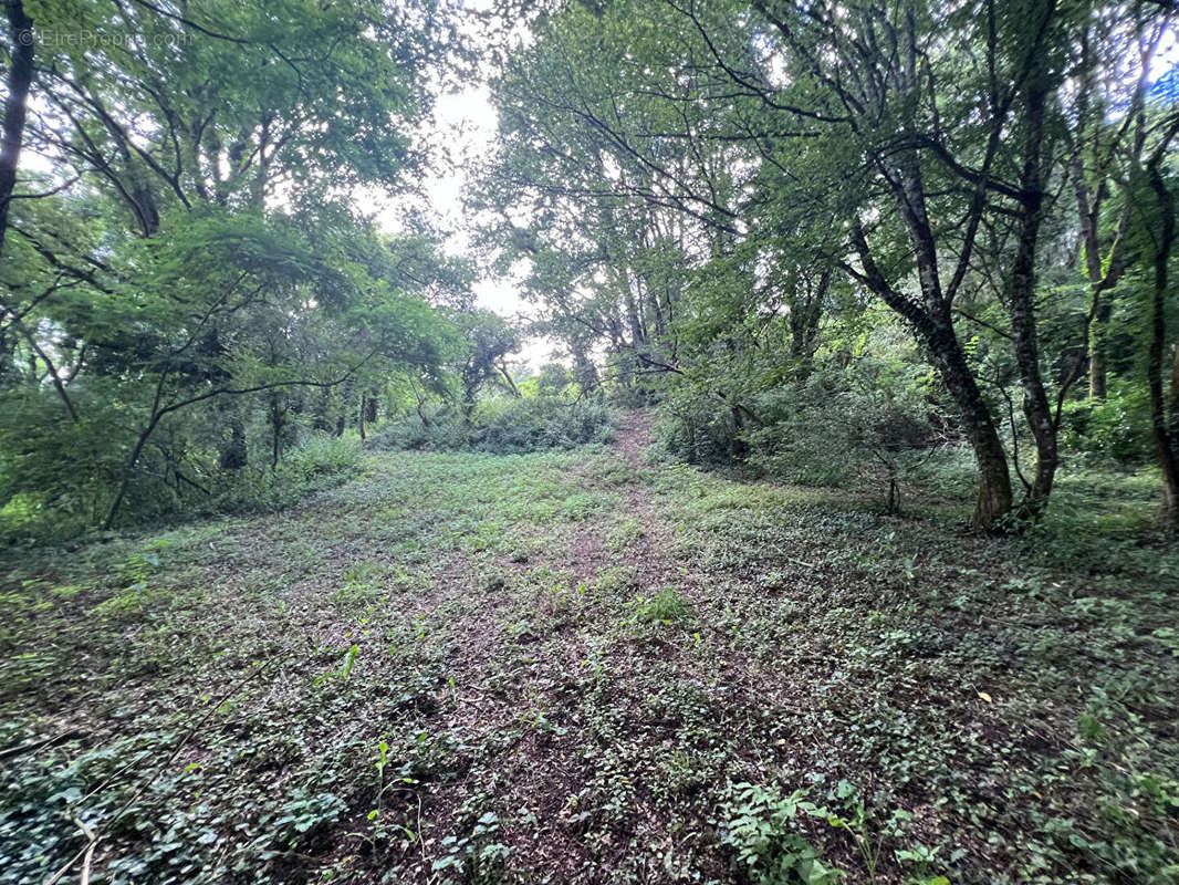 Terrain à SARLAT-LA-CANEDA