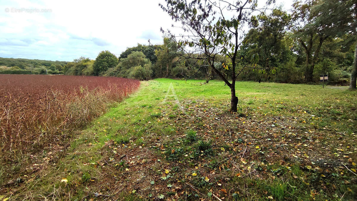 Terrain à SAINT-AUGUSTIN-DES-BOIS