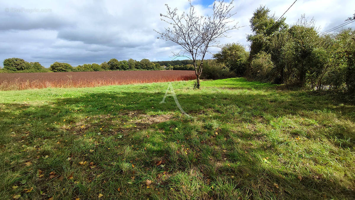 Terrain à SAINT-AUGUSTIN-DES-BOIS