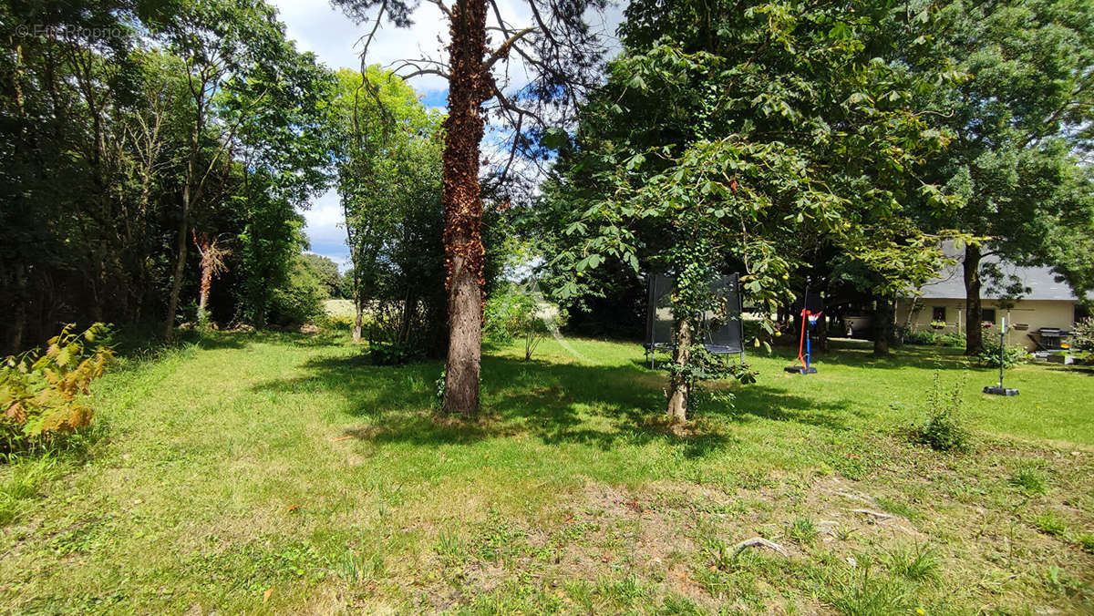 Terrain à SAINT-AUGUSTIN-DES-BOIS