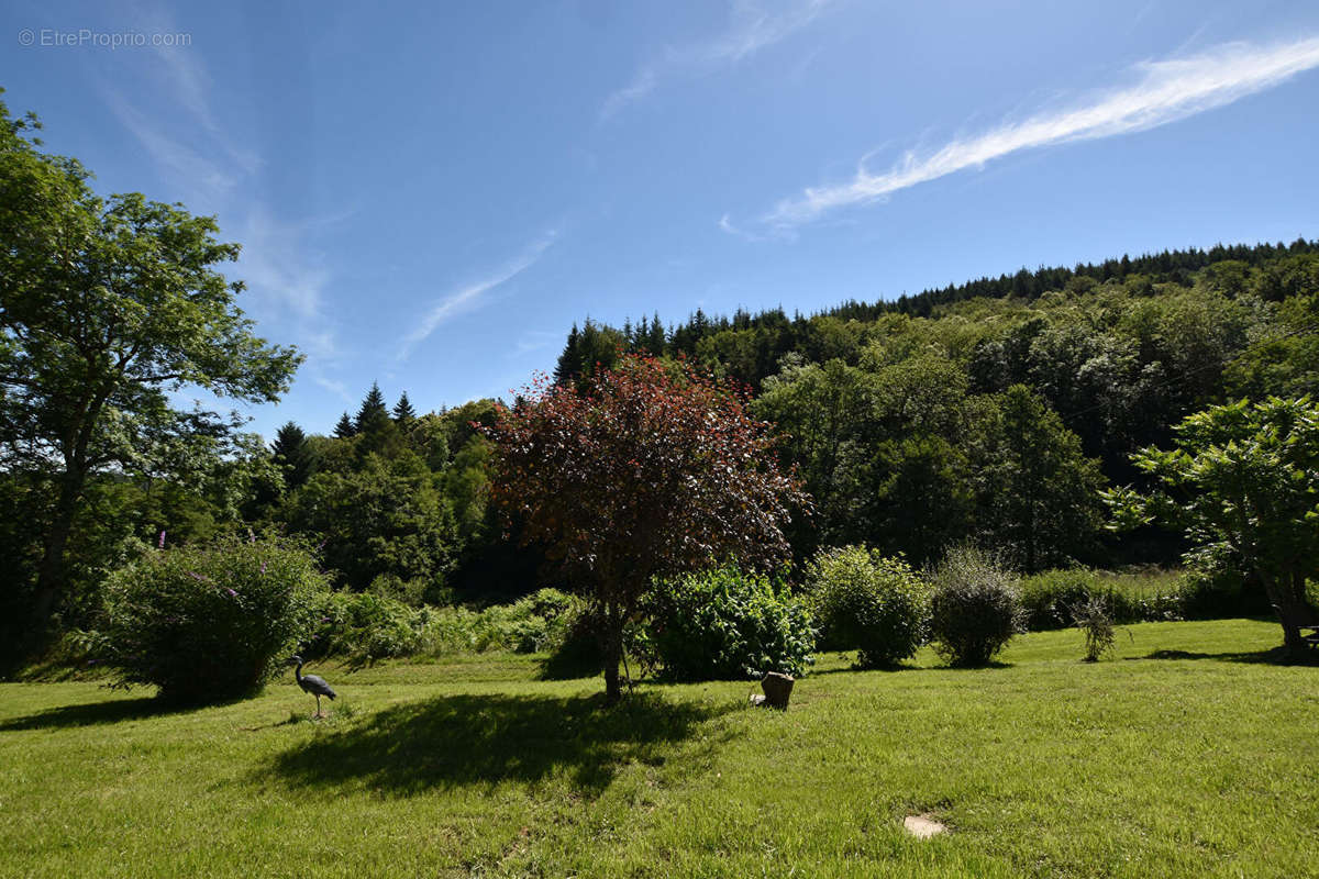 Maison à SAINT-MARTIN-D&#039;ESTREAUX