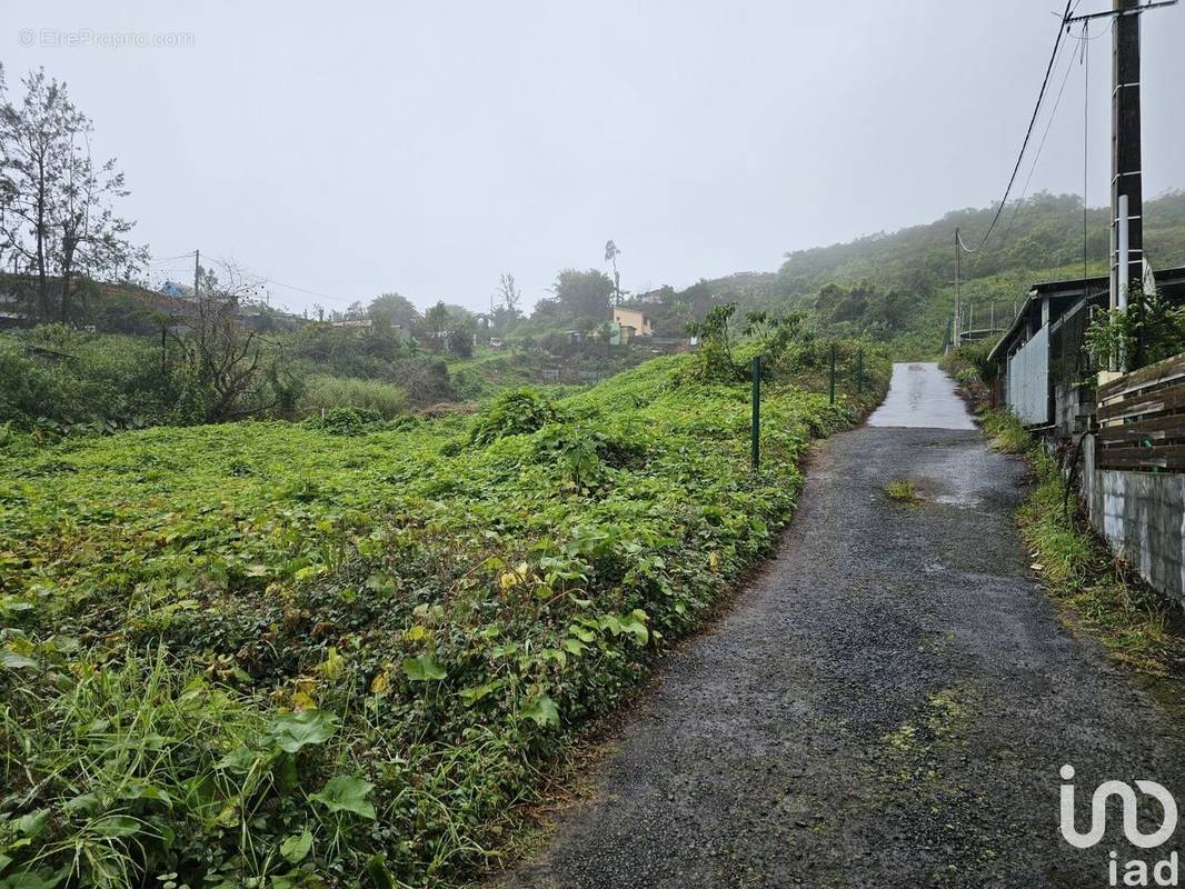 Photo 1 - Terrain à SALAZIE