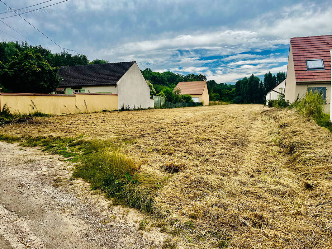 Terrain à APPOIGNY