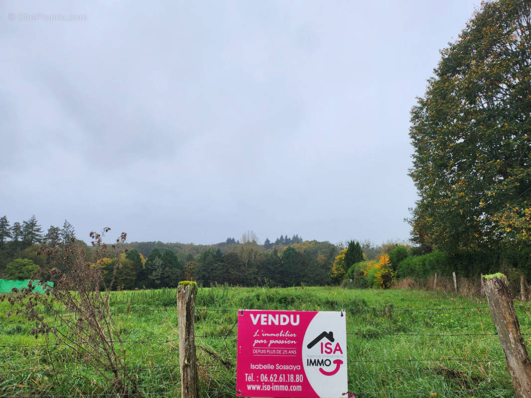 Terrain à SAINT-PAUL