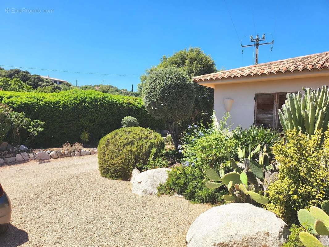 Maison à PORTO-VECCHIO