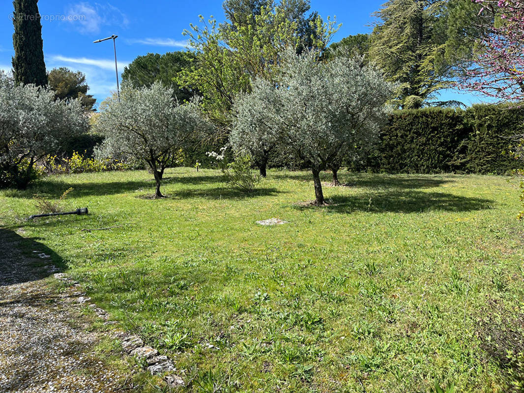 Terrain à SAINT-CANNAT