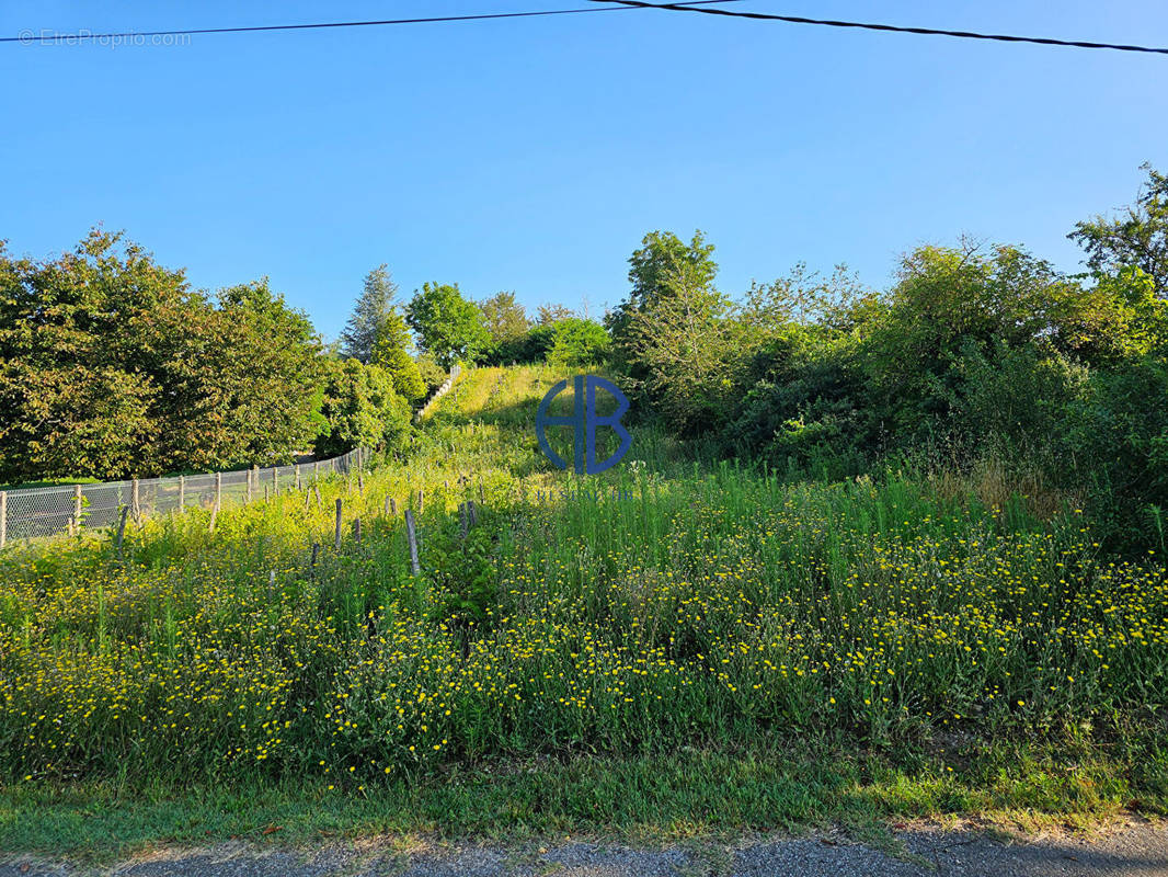 Terrain à SARDIEU