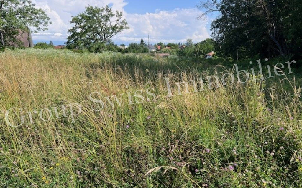 Terrain à VEIGY-FONCENEX