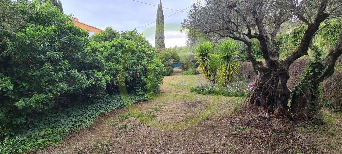 Maison à LA CADIERE-D&#039;AZUR