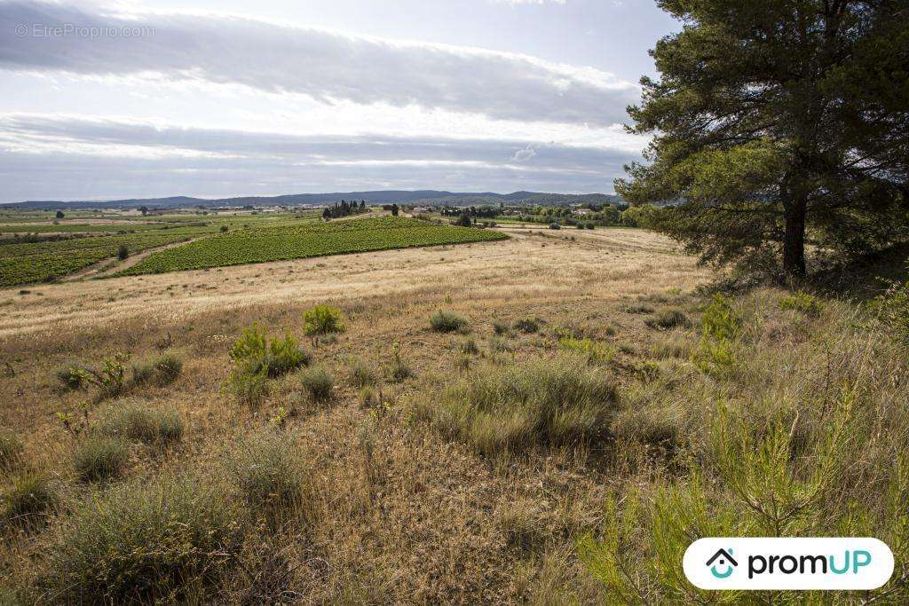 Terrain à FABREZAN