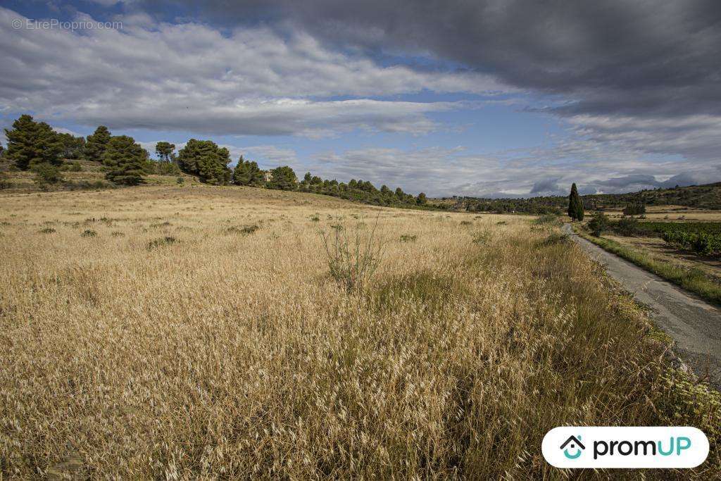 Terrain à FABREZAN