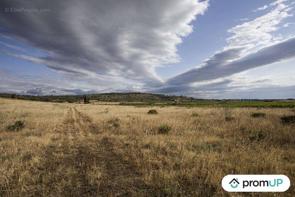 Terrain à FABREZAN