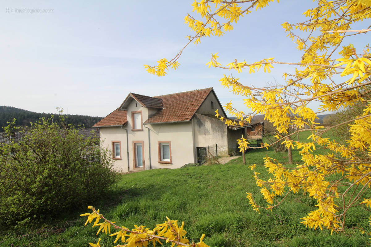 Maison à DABO