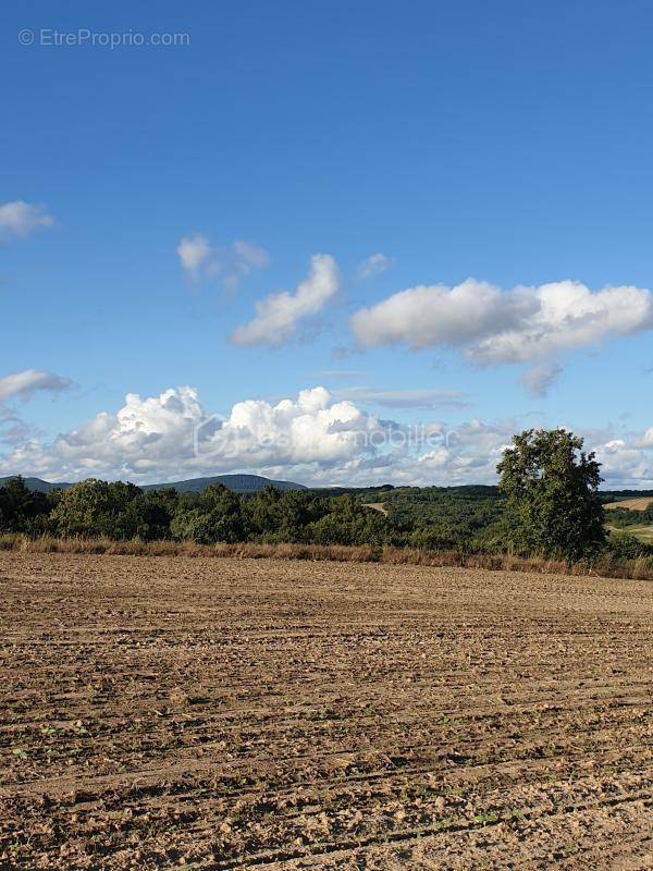 Terrain à SALVAGNAC