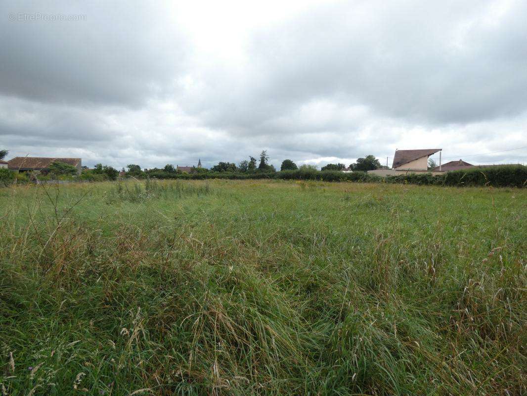 Terrain à LE MAYET-D&#039;ECOLE