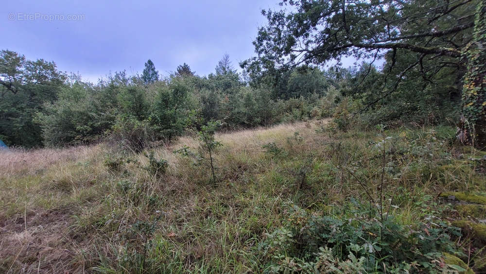 Terrain à BRIVE-LA-GAILLARDE