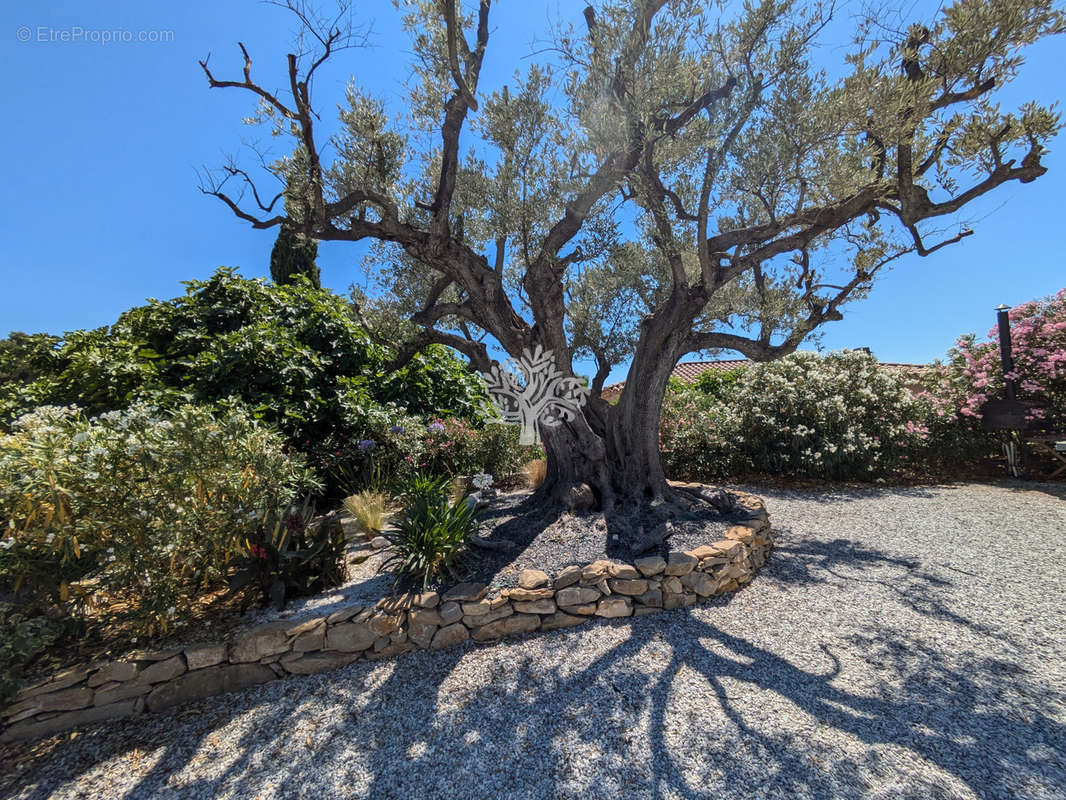 Maison à LE CASTELLET