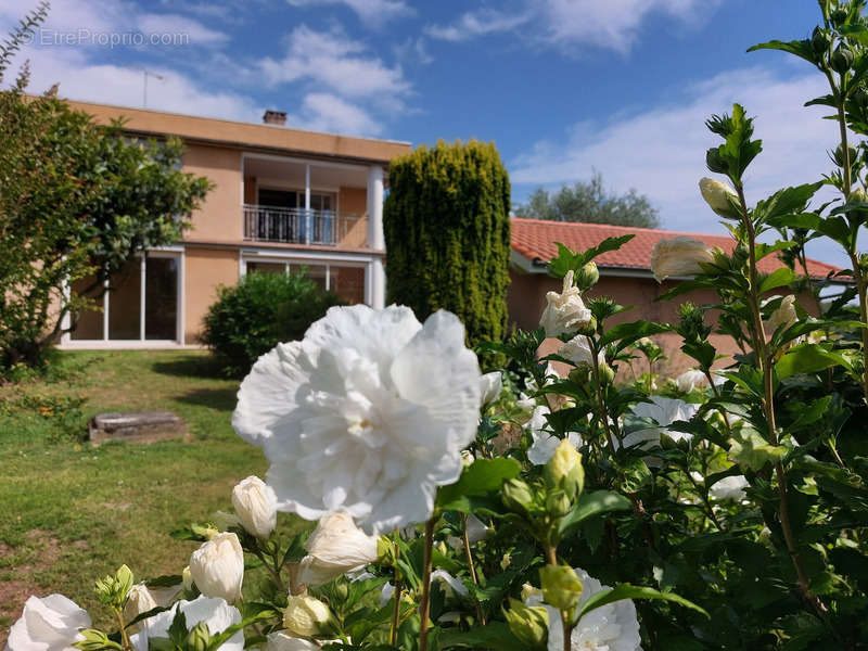 Maison à MONTAUBAN