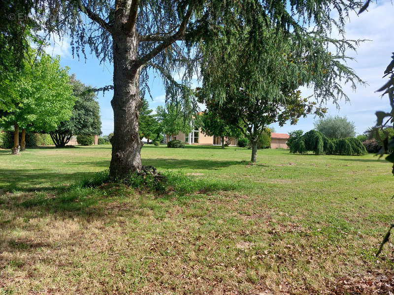 Maison à MONTAUBAN